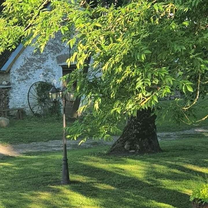 B&B Rando & Kaerdi Juures Oue Lyuganuse Exterior foto
